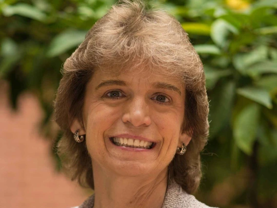 Sharon C Hitchcock