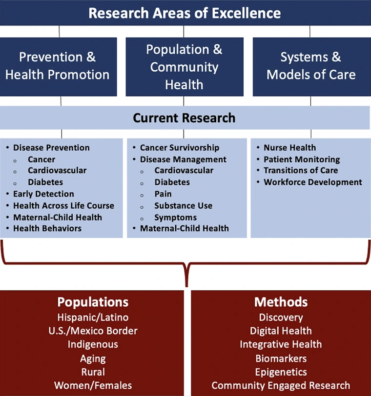 Graphic showing research areas of excellence